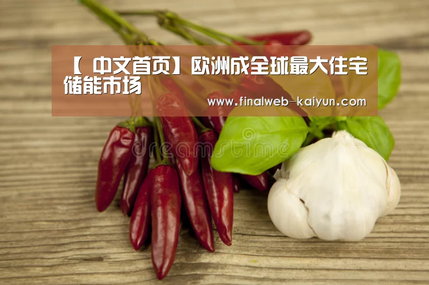  中文首页